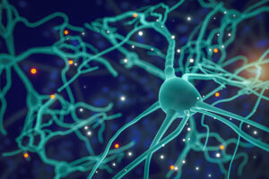 neuron