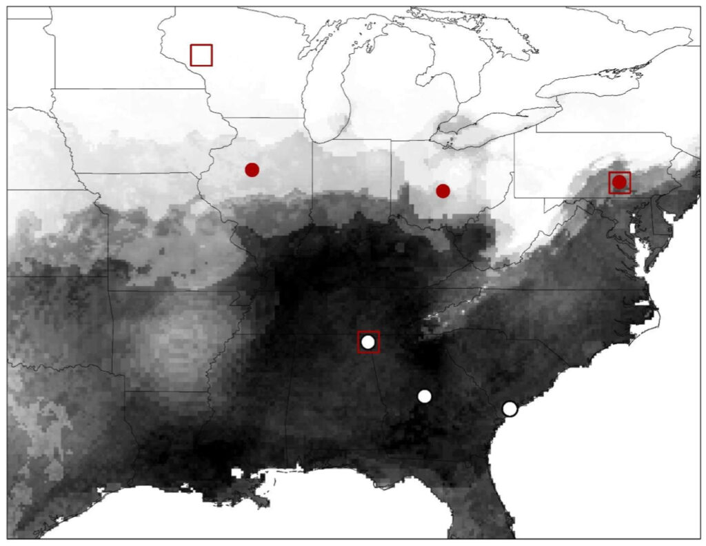 Mosquito study area