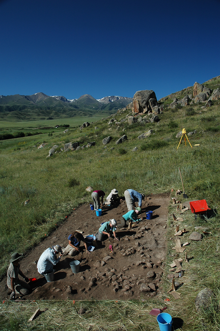 Excavation site