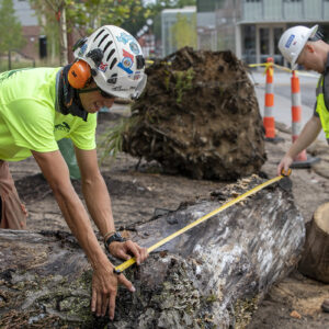 workers prepare nurse log