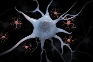 neuron cell