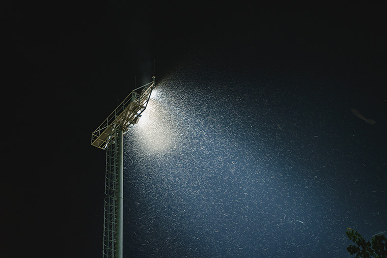 Stadium lights