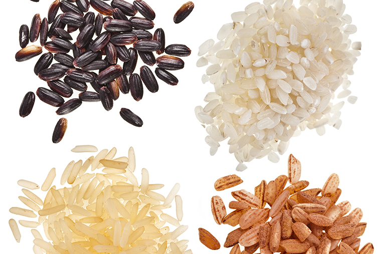 grains of rice