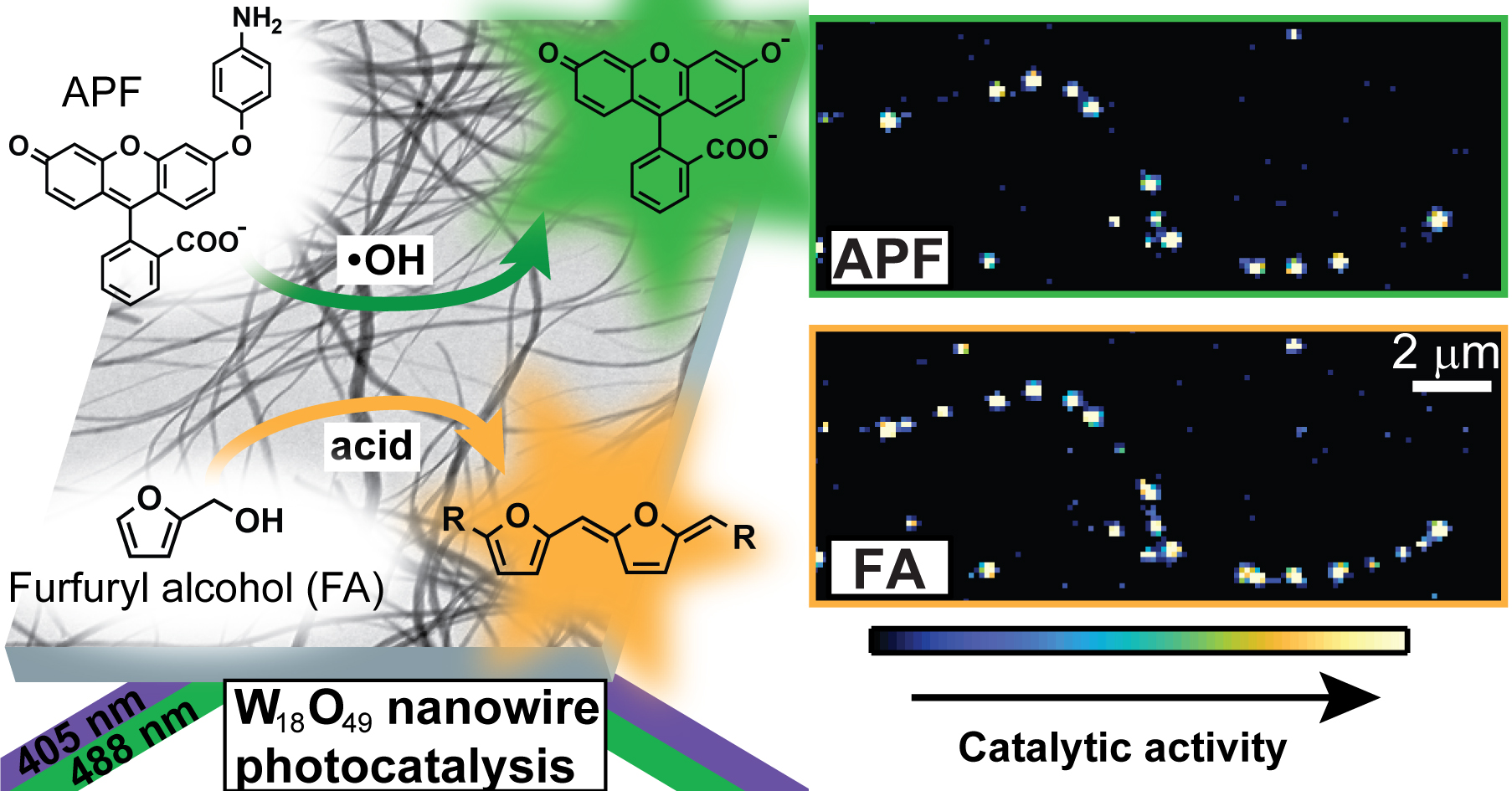 photocatalyst graphic