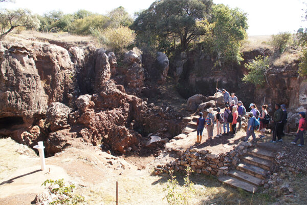 Fossil discoveries rewrite our family history