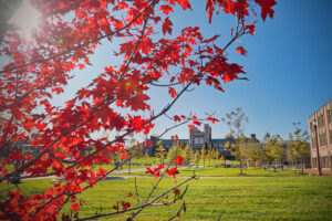 fall on campus