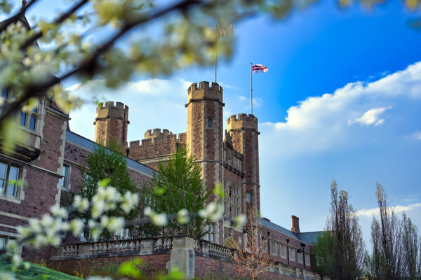 Board grants faculty appointments, promotions, tenure