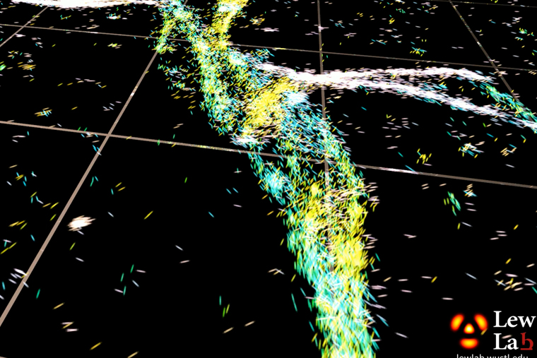 A new technique developed in the lab of Matthew Lew at the McKelvey School of Engineering measures the orientation of single molecules. It is enabling, for the first time, optical microscopy to reveal nanoscale details about the structures of these problematic proteins. (Courtesy: Lew Lab)