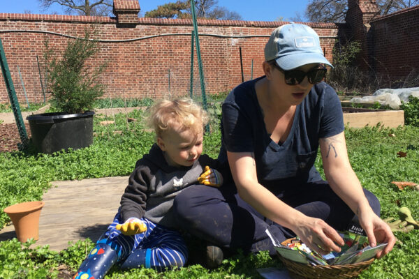 Burning Kumquat garden thrives while students away