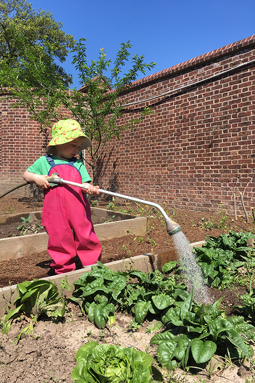 Farmer Delaney watering crops.