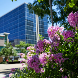 flowers on Hope Plaza