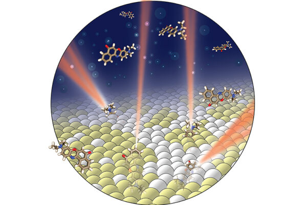 Using light’s properties to indirectly see inside a cell membrane