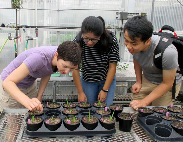 plant biologists