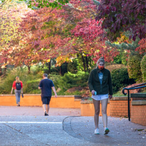 students in fall