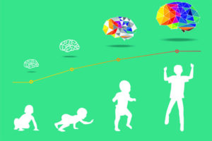 brain development