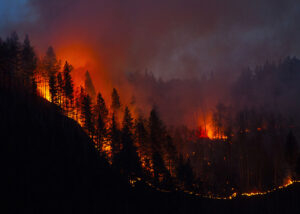 California wildfires