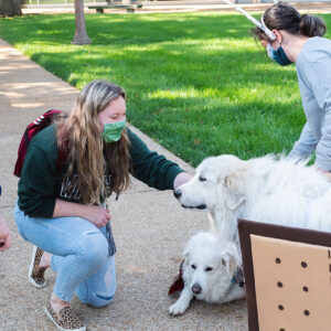 Jen Smith and dogs