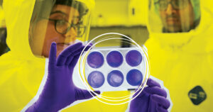 Postdoctoral researcher Pallavi Chandra (left) looks at plates containing cells infected with the COVID-19 virus as postdoctoral researcher Ekansh Mittal looks on. In a biosafety level 3 laboratory, Chandra and Mittal are screening chemical compounds for their ability to inactivate the COVID-19 virus as part of an effort to find potential antiviral drugs. (Photo: Matt Miller; graphic effect: Monica Duwel)Postdoctoral researcher Pallavi Chandra (left) looks at plates containing cells infected with the COVID-19 virus as postdoctoral researcher Ekansh Mittal looks on. In a biosafety level 3 laboratory, Chandra and Mittal are screening chemical compounds for their ability to inactivate the COVID-19 virus as part of an effort to find potential antiviral drugs. (Photo: Matt Miller; graphic effect: Monica Duwel)