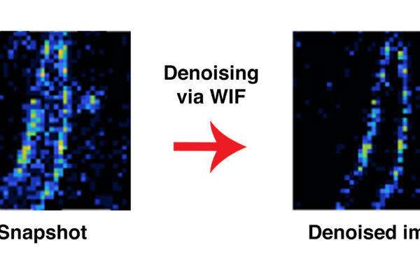 New computational method validates images without ‘ground truth’