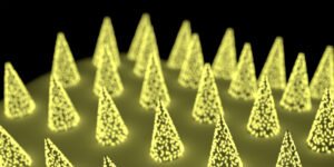 Microneedle patch