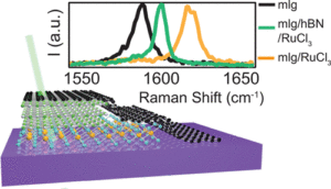 2d layered device