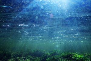 sun through water