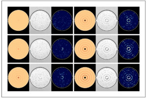 Pictures of microfluid devices measured by living organisms.