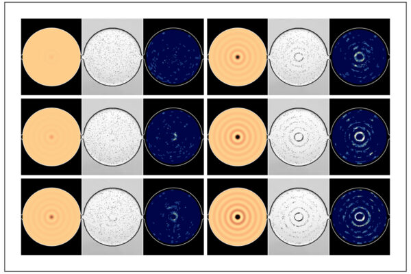 Fine-tuning device performance with swarms of swimming cells