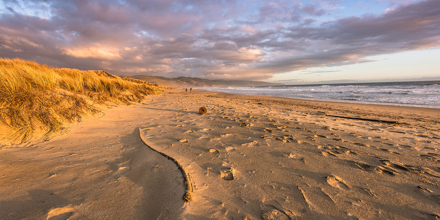 Point Reyes