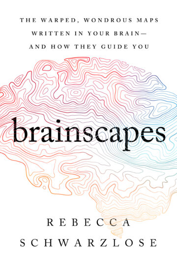 Brainscapes