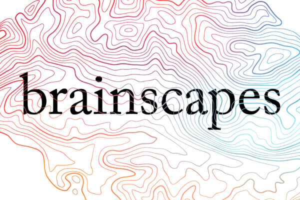 Brainscapes