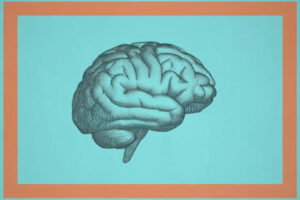 graphic of a human brain