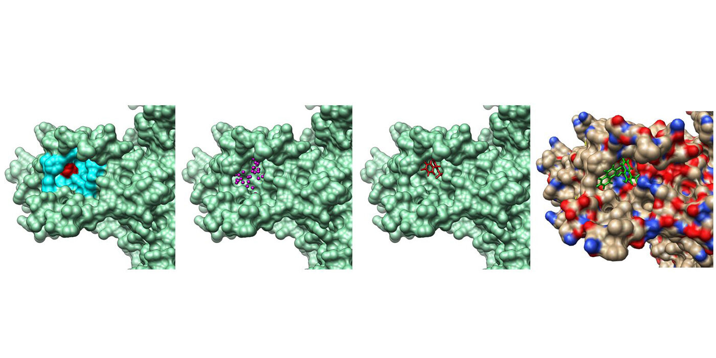 Images of the computer model of the KCNQ1 structure