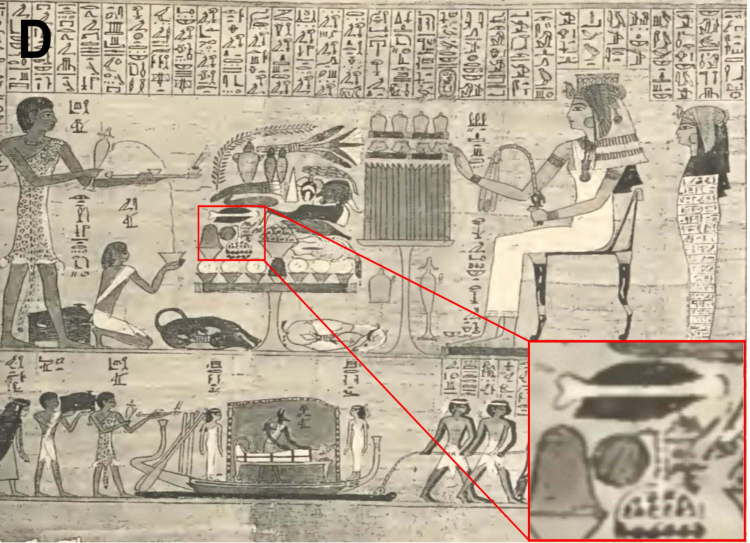 Watermelon Before A seedy slice of history: Watermelons actually came from northeast ...
