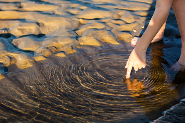 Cancer has ripple effect on distant tissues