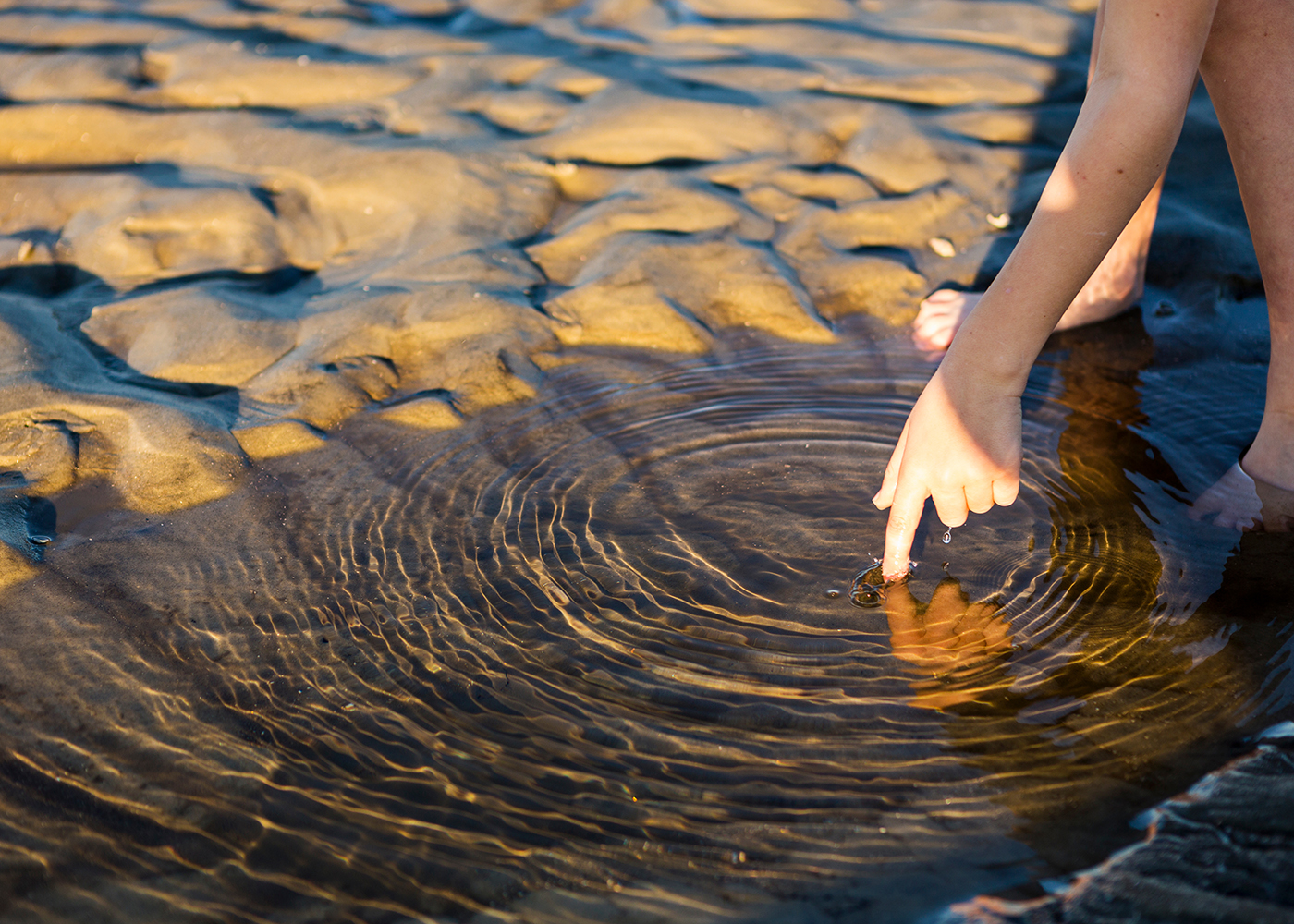 Body Ripple Cancer has ripple effect on distant tissues - The Source - WashU