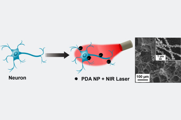 Nanoparticles create heat from light to manipulate electrical activity in neurons