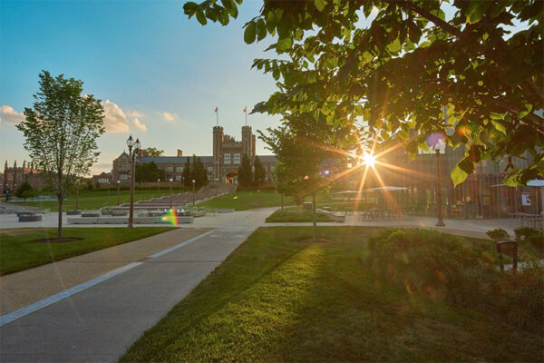 Washington University Managed Endowment Pool generates record 65% return