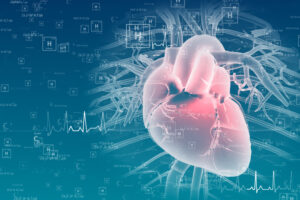 Illustration of a heart