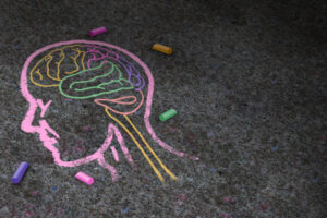 Chalk drawing of a brain