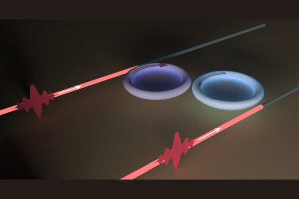 Engineering energy loss provides new features for light absorption