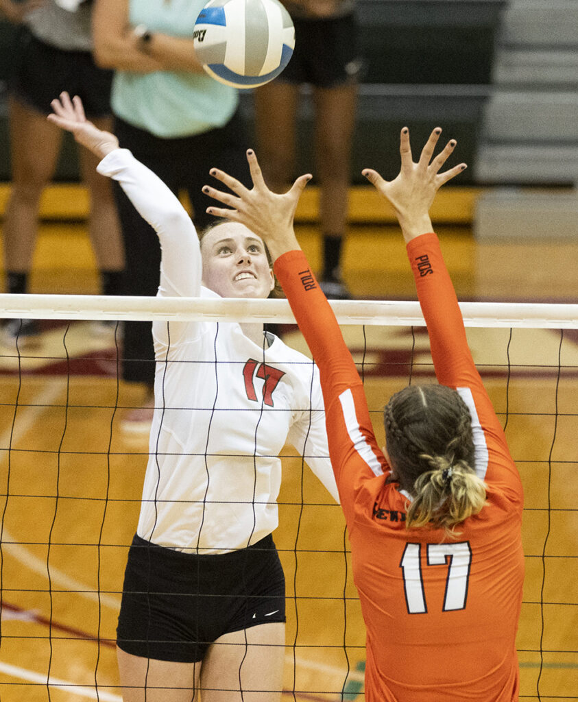 WashU volleyball player Michael Bach gets ready to spike the ball.