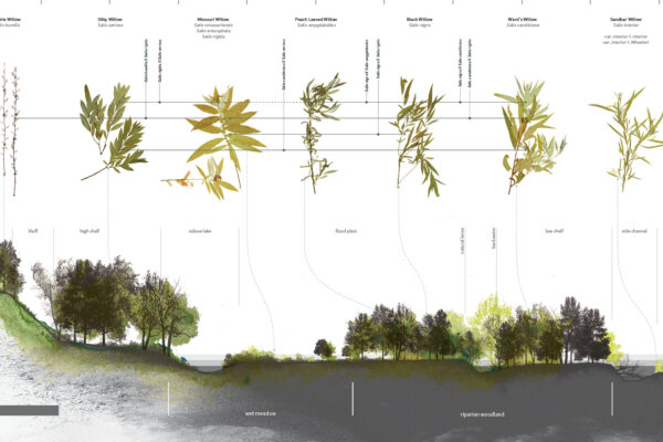 Huang, Whitaker win national landscape architecture honors