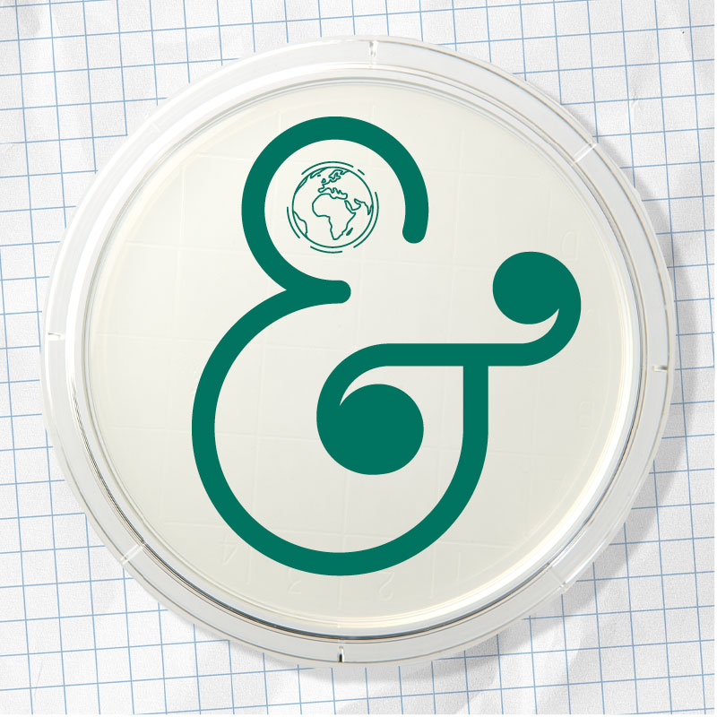 illustration of ampersand and globe