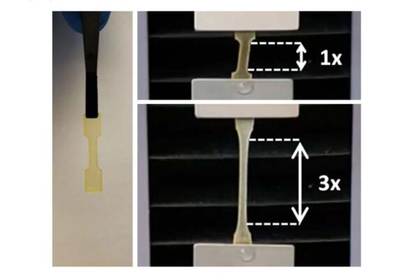 Synthetic biology yields easy-to-use underwater adhesives