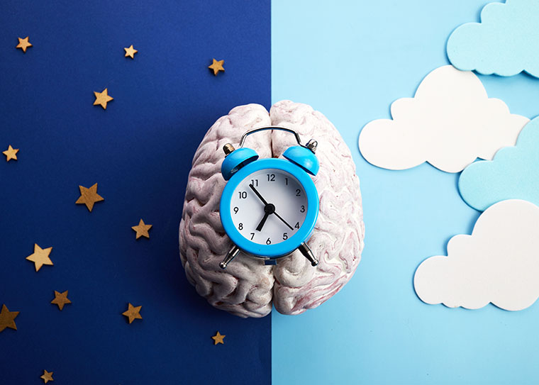 Brain Clock