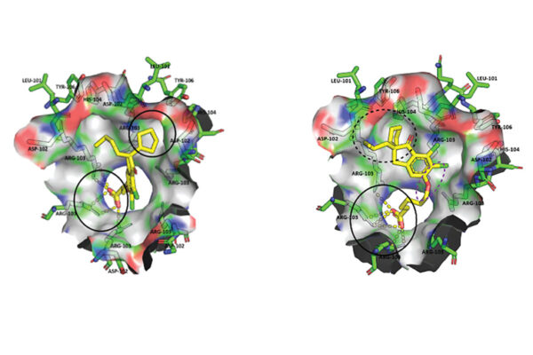 Diabetes, metabolic syndrome in mice treated with novel class of compounds