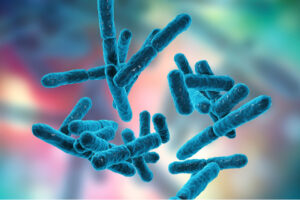 Picture of Bifidobacterium bacteria