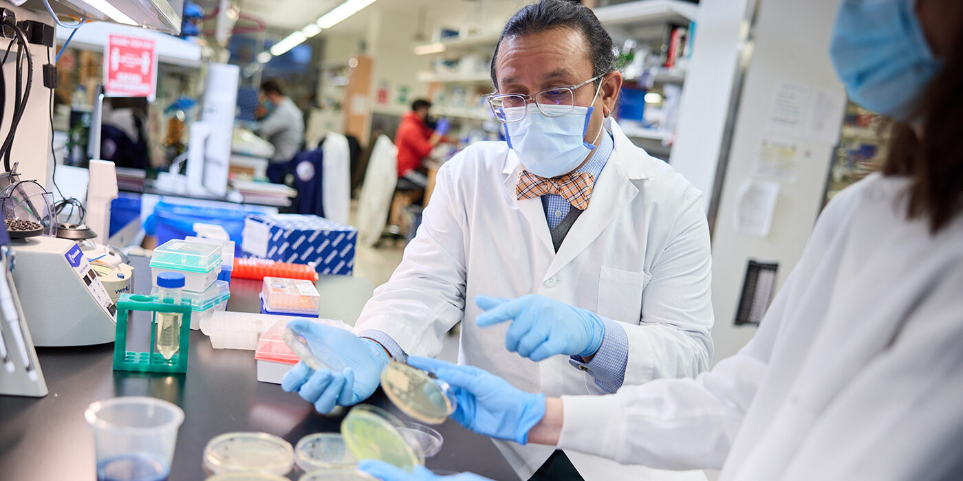 Gautam Dantas, professor of pathology and immunology, leads a research team of experts across multiple fields: microbial genomics, ecology, synthetic biology and systems biology. In an effort to find ways to treat bacterial diseases without relying exclusively on antimicrobials, the team is studying why resistance is so insidious and how it can be stopped. (Photo: Matt Miller/Washington University School of Medicine)