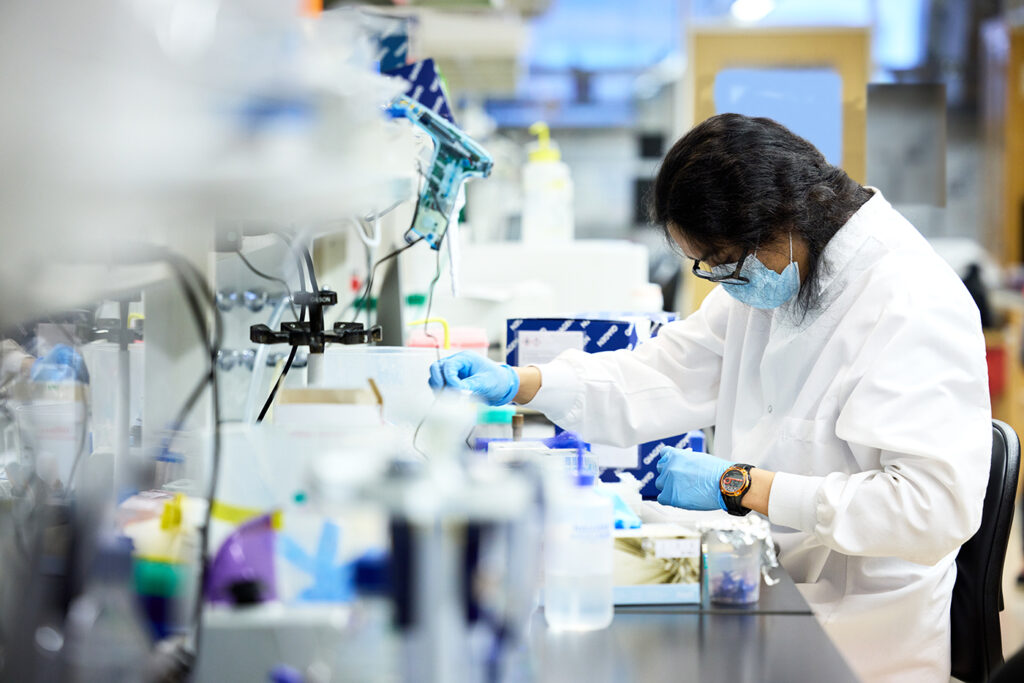 In an exciting development, the Dantas lab is engineering novel probiotic bacteria and yeasts as precision treatments against infectious drug-resistant pathogens. Here, research technician James Liao is extracting DNA from bacteria samples. (Photo: Matt Miller/Washington University School of Medicine)